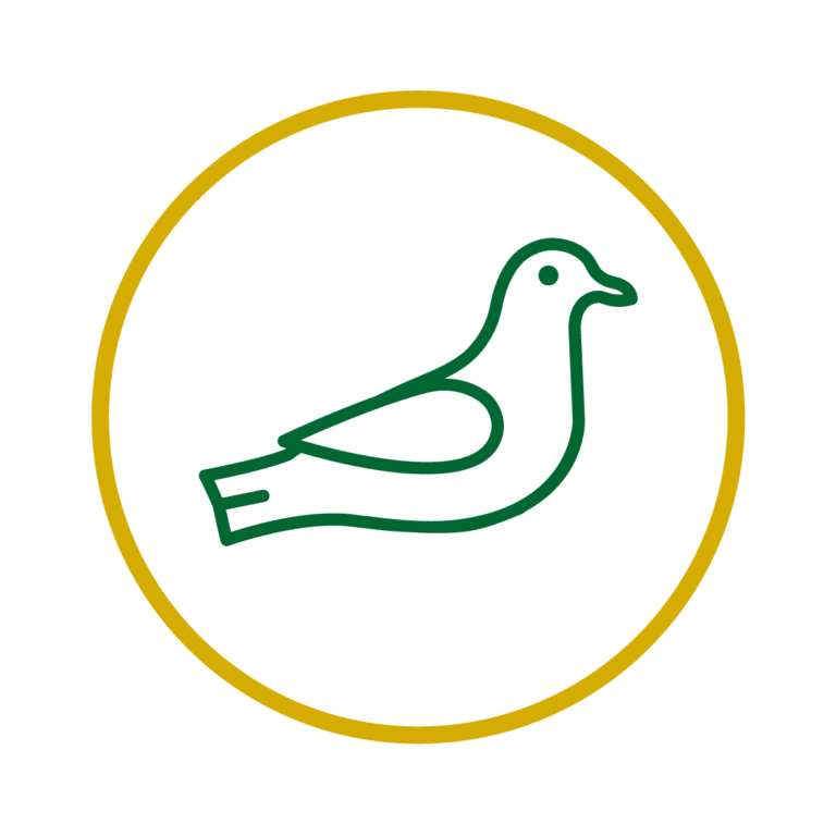 Dealey Environmental: Premier Pest Control Services in East Anglia