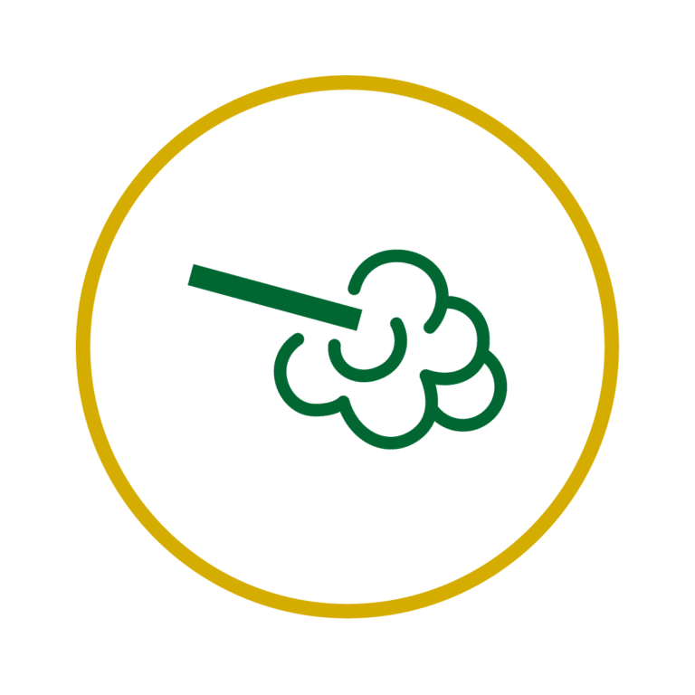 Dealey Environmental: Premier Pest Control Services in East Anglia