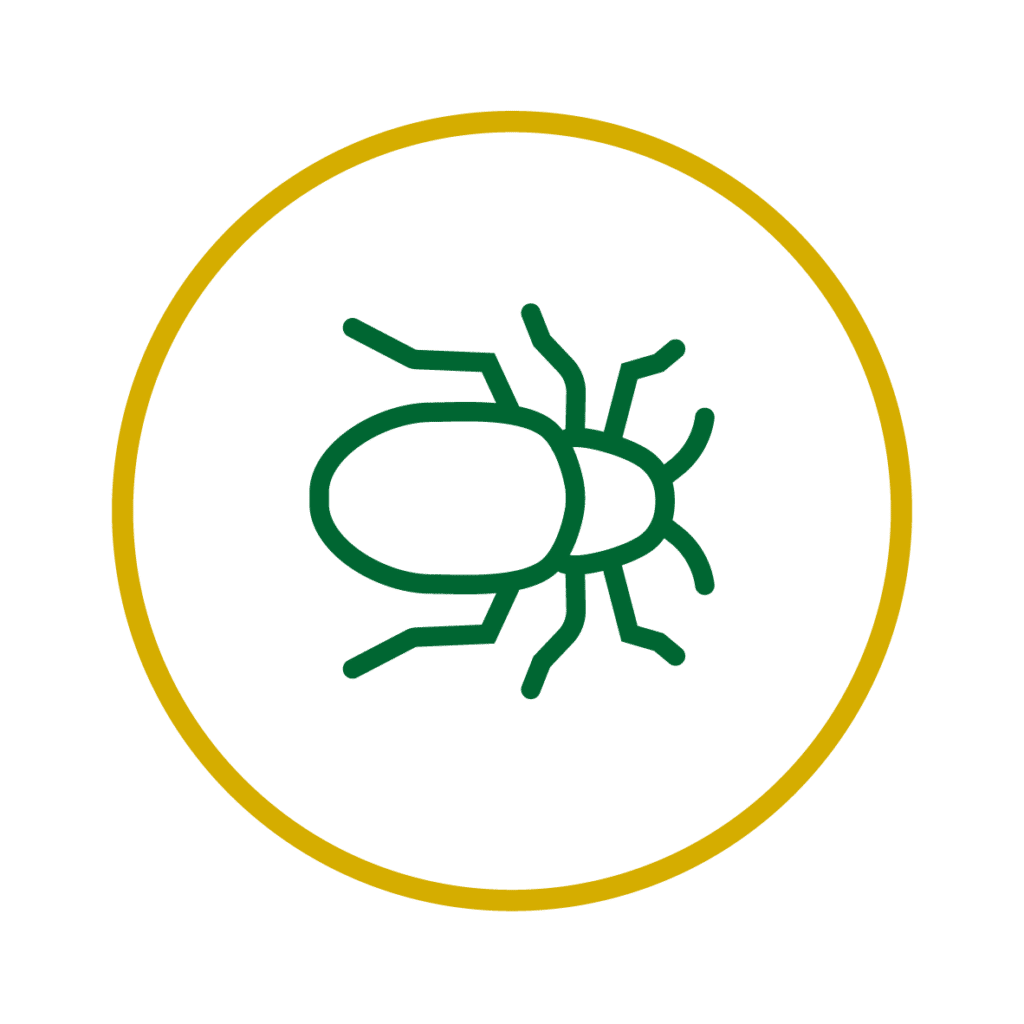 Dealey Environmental: Premier Pest Control Services in East Anglia