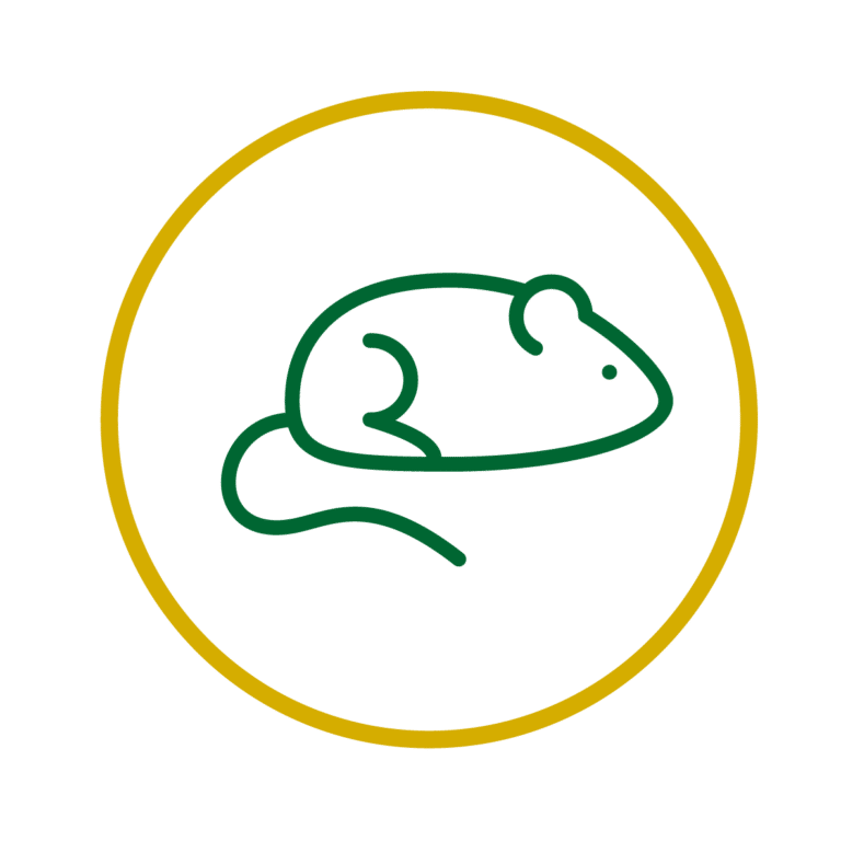 Dealey Environmental: Premier Pest Control Services in East Anglia