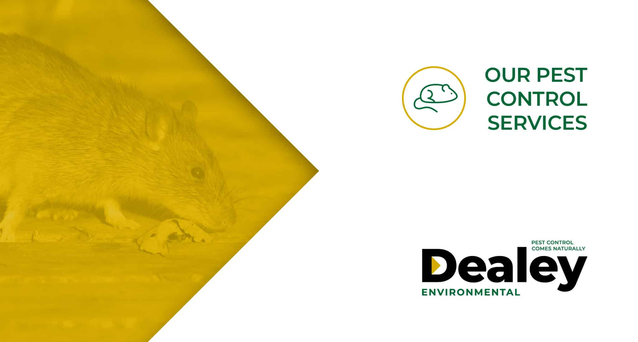 Dealey Environmental | Leading Pest Control and Wildlife Management ...