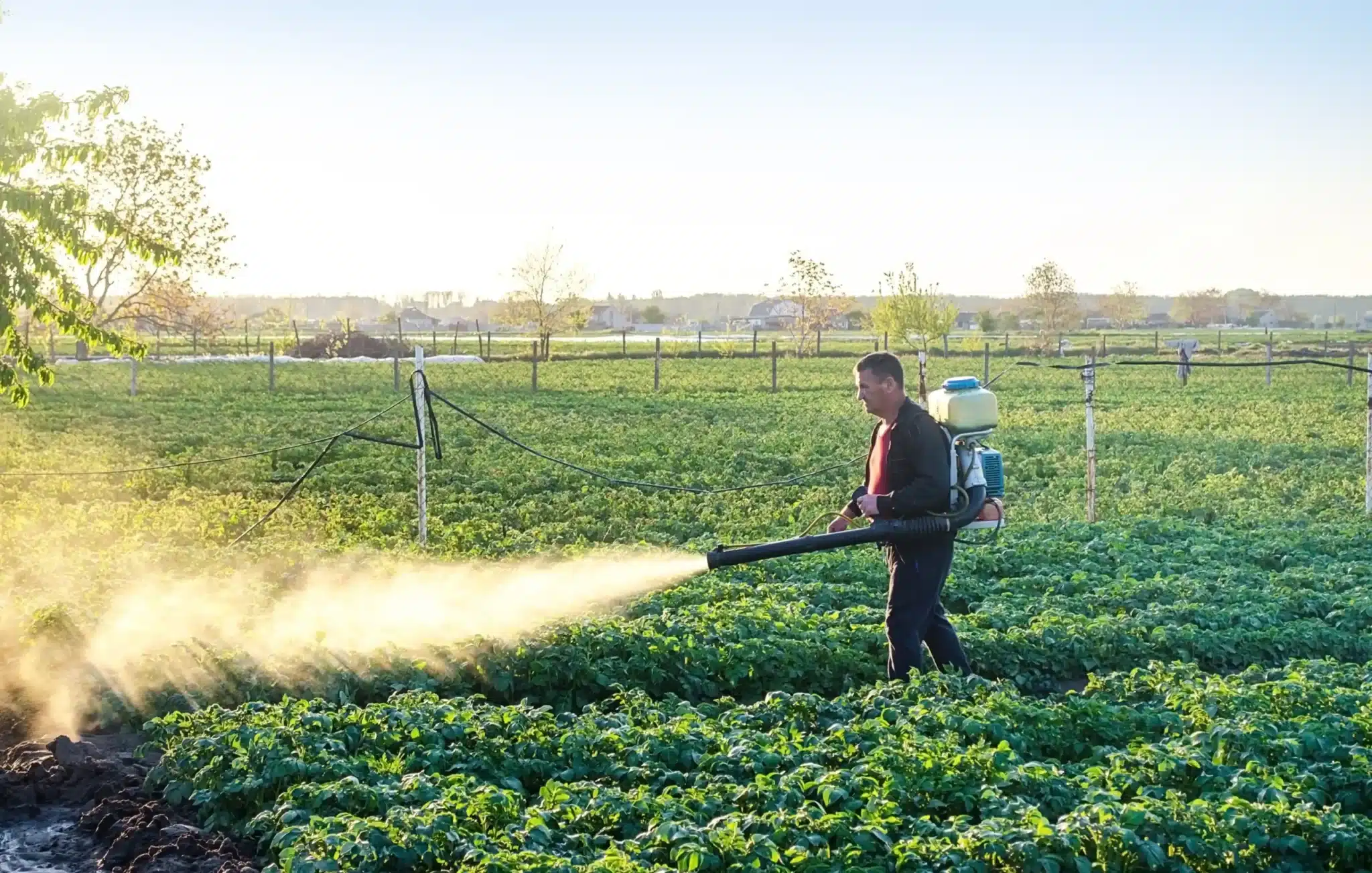 Pest control crops, fumigation