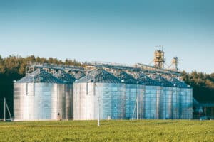 grain store pest control
