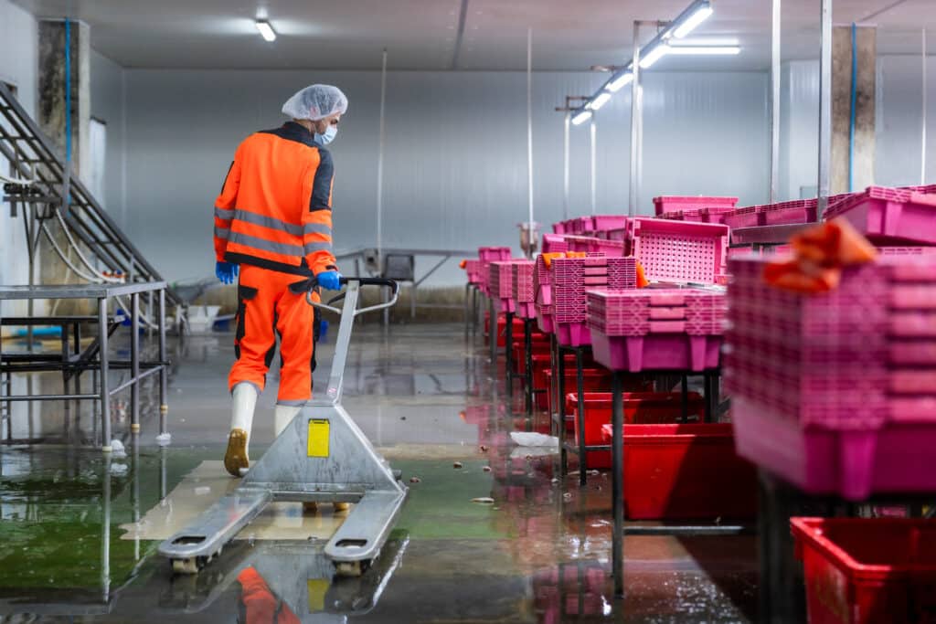 specialist cleaning