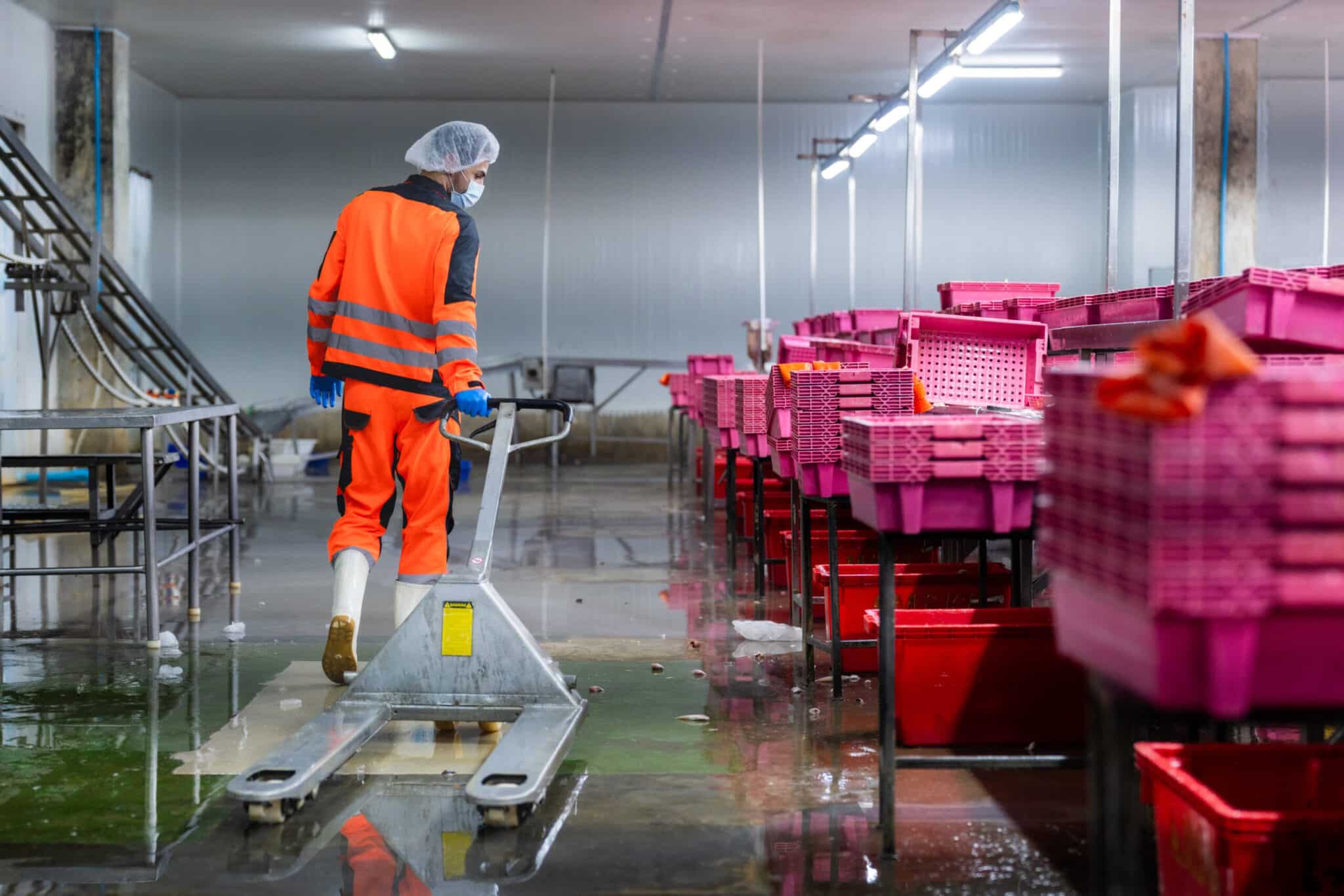 specialist cleaning