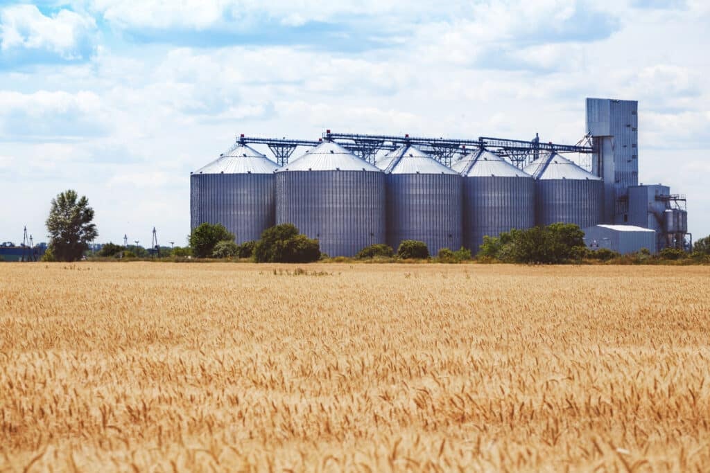 grain